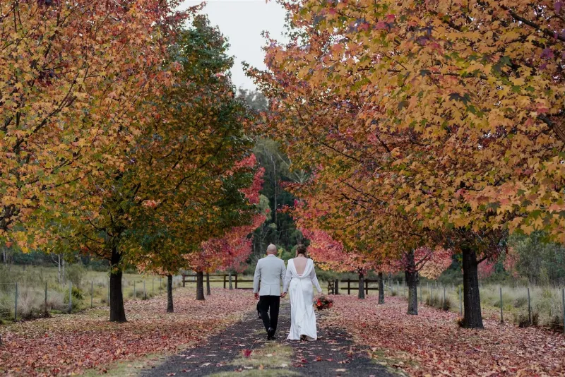 A wedding couple in the Blue Mountains