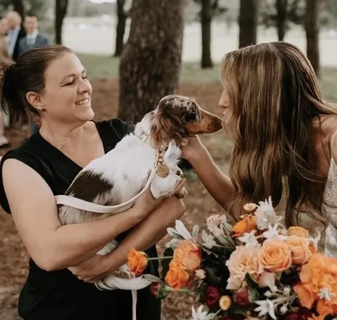 Shelley Thorpe, Pets As Guests